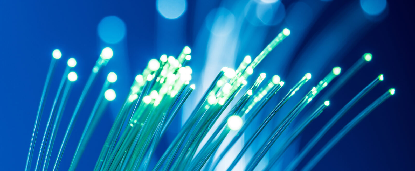 Bundle of optical fibers with lights in the ends. Blue background.